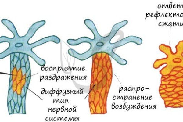 Кракен ссылка 11