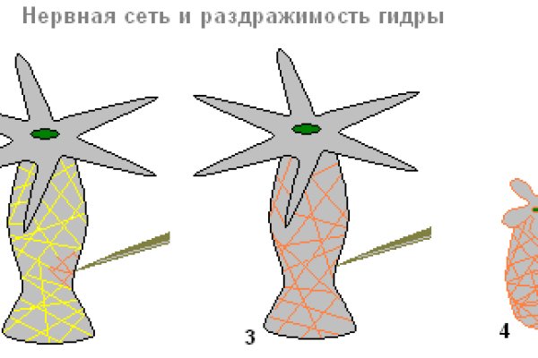 Kraken ссылка для тору