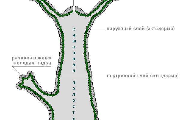 Каталог сайтов даркнет