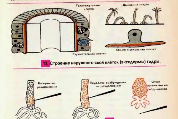 Официальные зеркала кракен